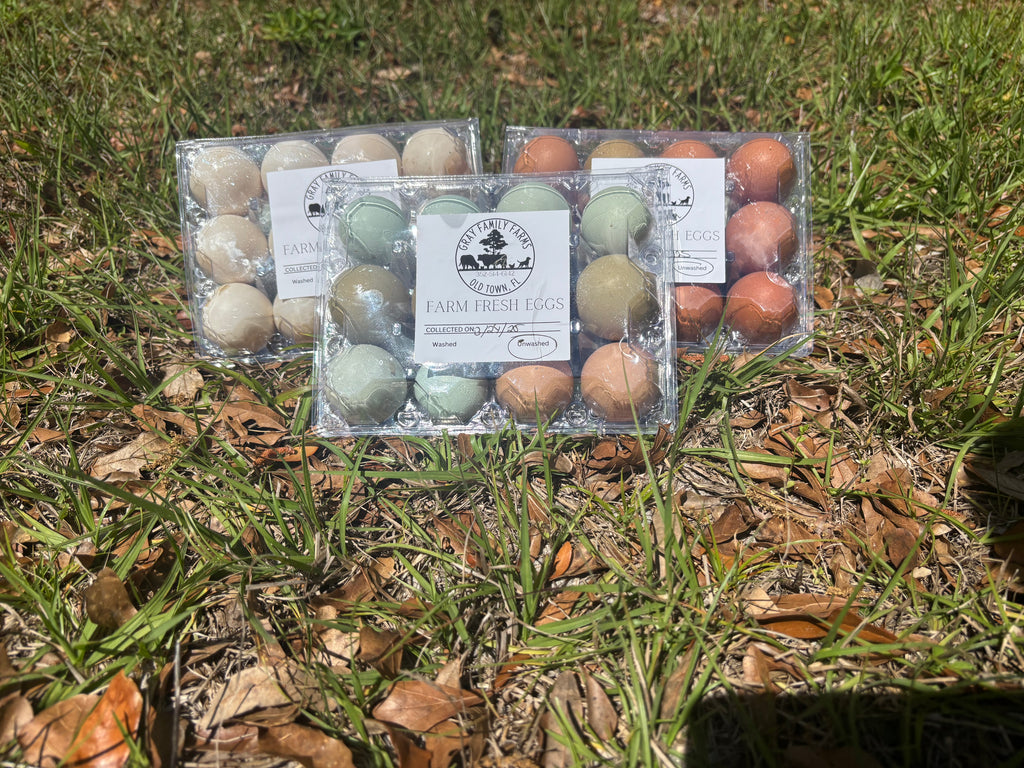 Fresh Eggs