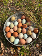 Fresh Eggs